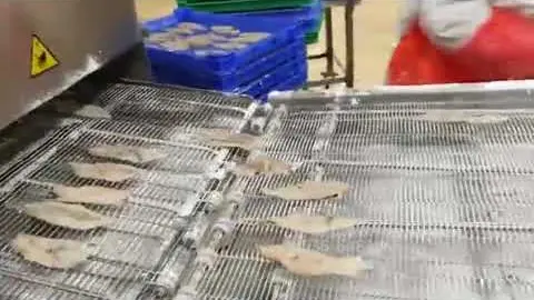 Fish fillet processing line