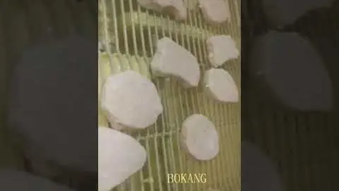 Chicken nuggets processing line