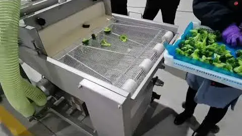 LJJ batter spraying machine