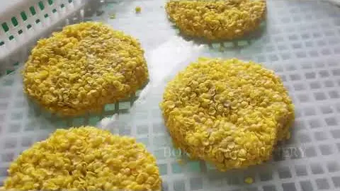 Burger patty